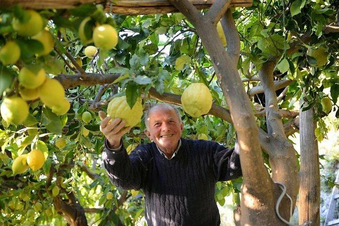 Experience Amalfi Lemons- Private Tour